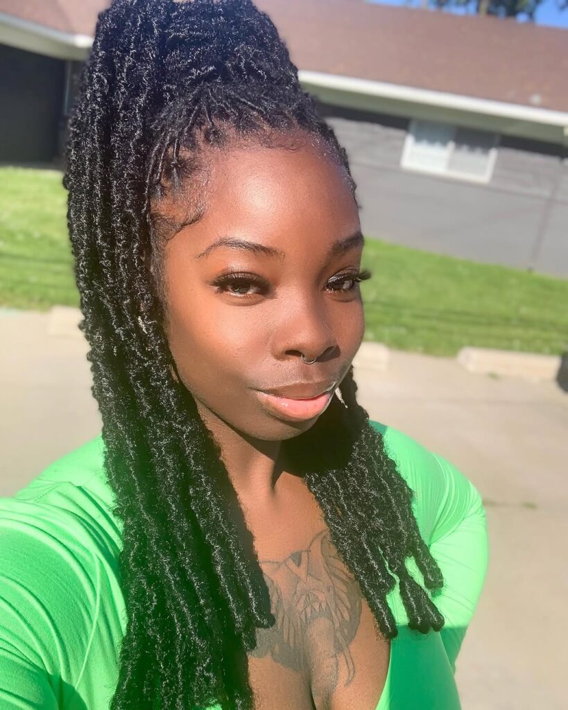 Faux Locs Ponytail