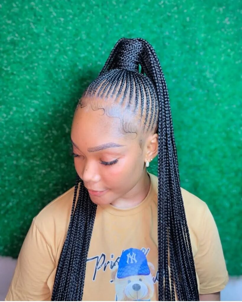 Braided Ponytail
