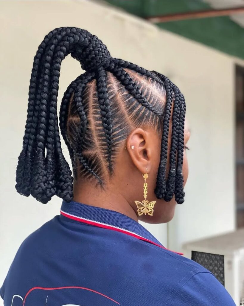 Braided Ponytail