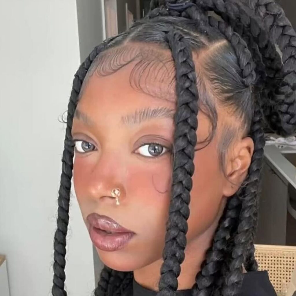 Jumbo Braids