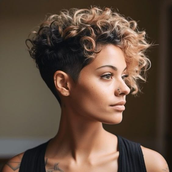 Curly Pompadour