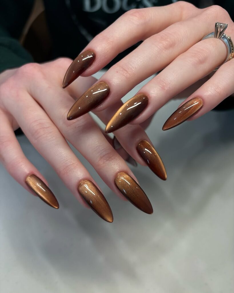 Velvet Cat Eye Nails